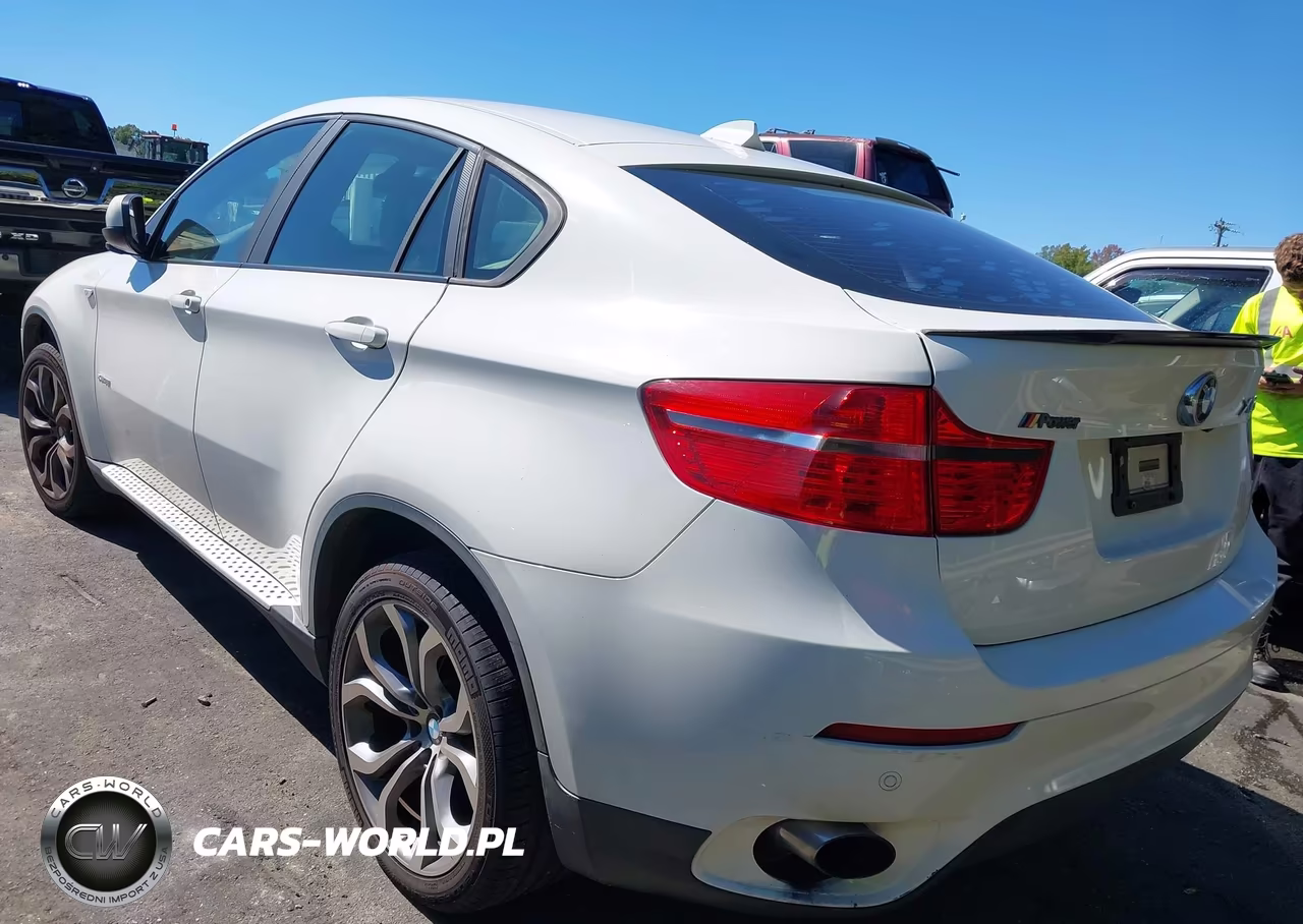 2011 BMW X6 xDrive35I VIN:5UXFG2C50BLX08094 - 3