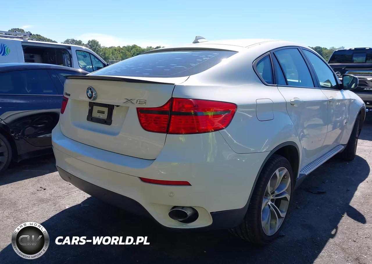 2011 BMW X6 xDrive35I VIN:5UXFG2C50BLX08094 - 4