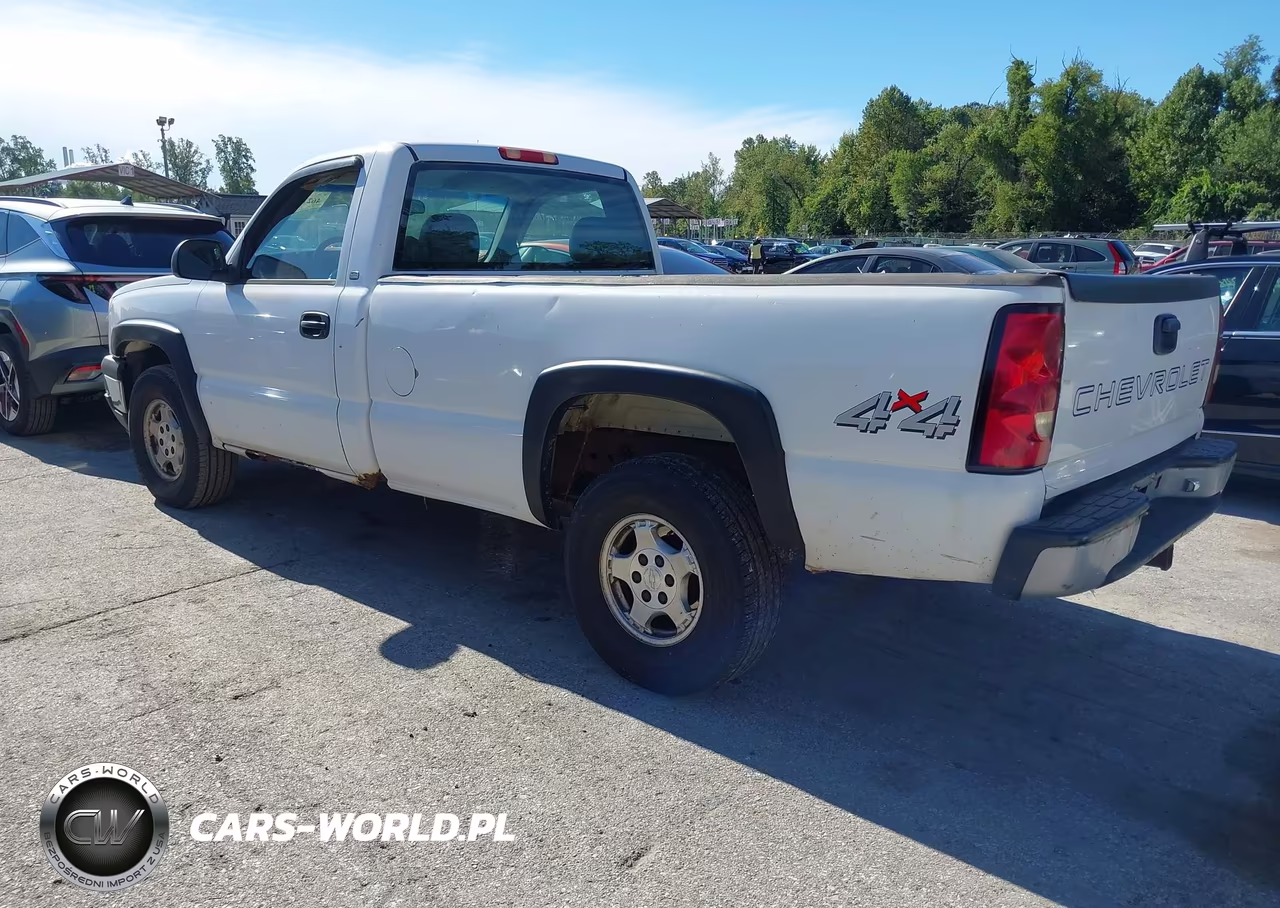 2003 Chevrolet Silverado 1500 Work Truck VIN:1GCEK14XX3Z295346 - 3