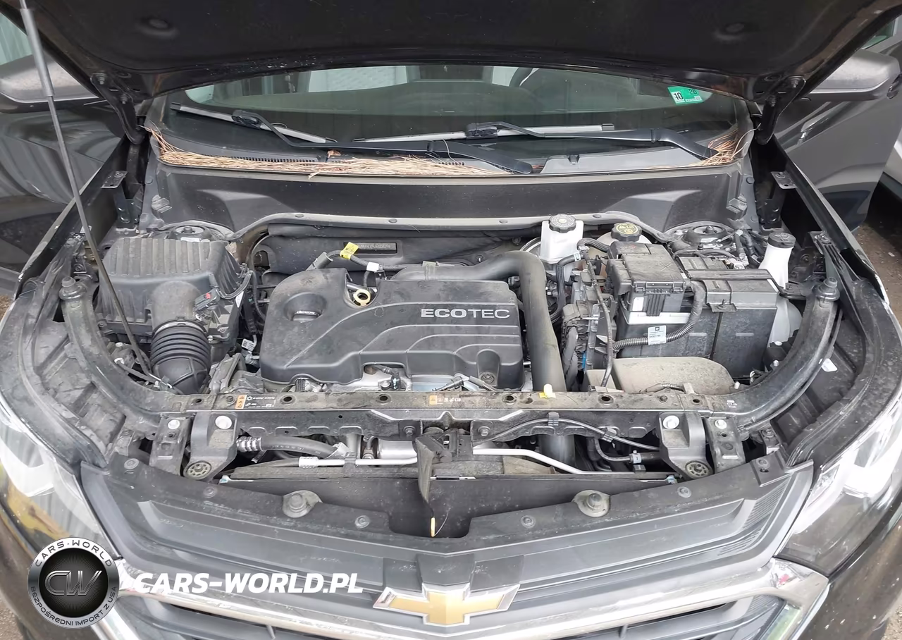 2020 Chevrolet Equinox Fwd Ls VIN:2GNAXHEV9L6203829 - 10