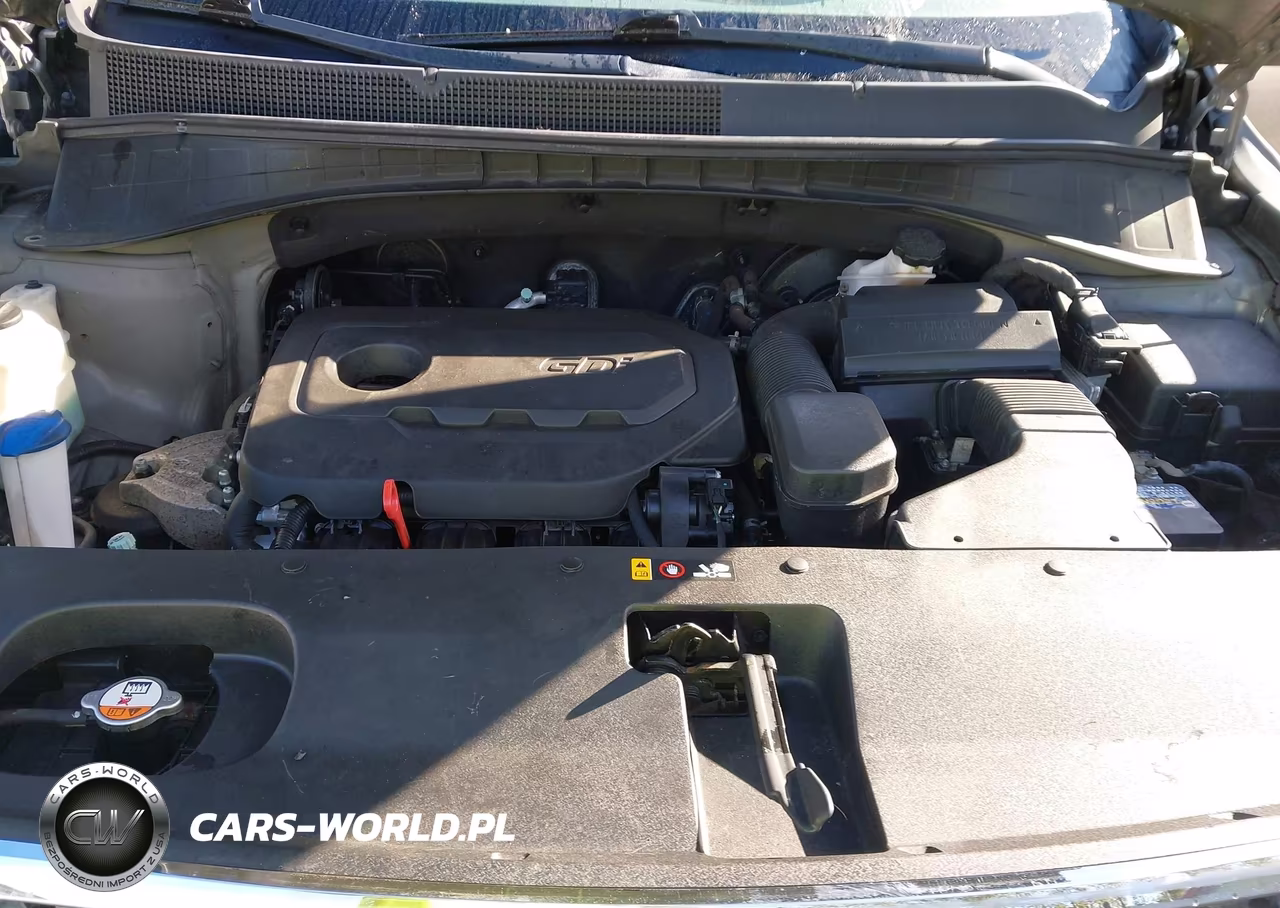 2018 Kia Sorento 2.4L Lx VIN:5XYPG4A35JG408791 - 10