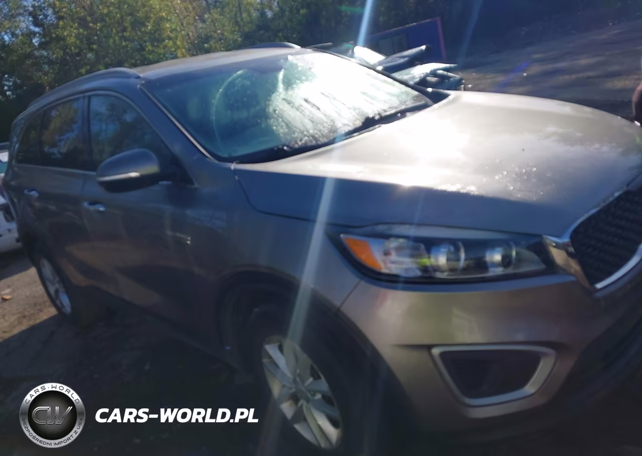 2018 Kia Sorento 2.4L Lx VIN:5XYPG4A35JG408791 - 13