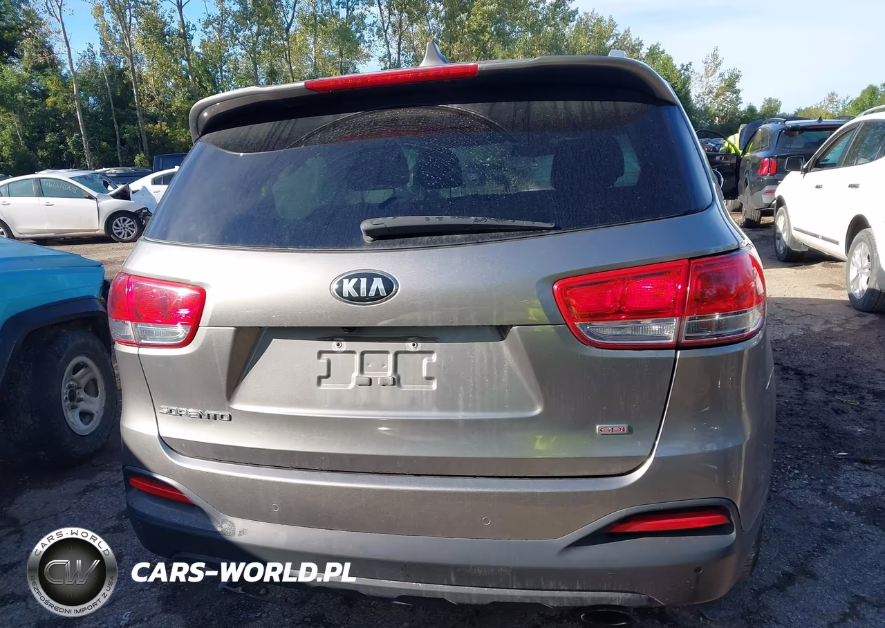 2018 Kia Sorento 2.4L Lx VIN:5XYPG4A35JG408791 - 16