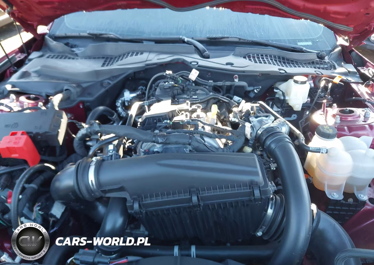 2025 Ford Mustang Ecoboost Fastback VIN:1FA6P8THXS5120468 - 10