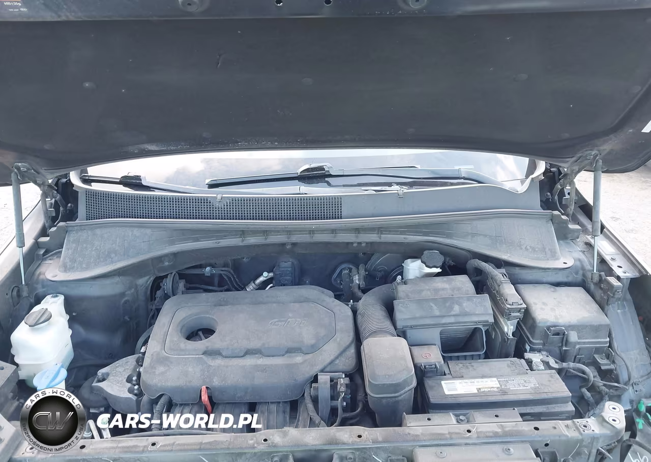 2016 Kia Sorento 2.4L L VIN:5XYPG4A35GG038533 - 10