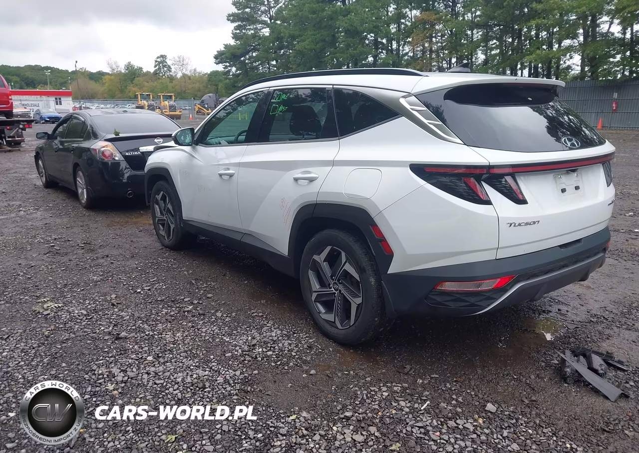 2022 Hyundai Tucson Hybrid Limited VIN:KM8JECA11NU017707 - 3