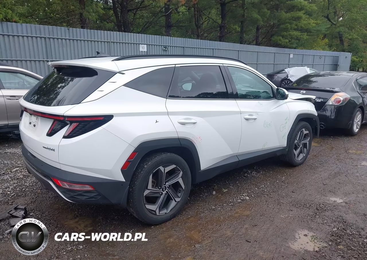 2022 Hyundai Tucson Hybrid Limited VIN:KM8JECA11NU017707 - 4
