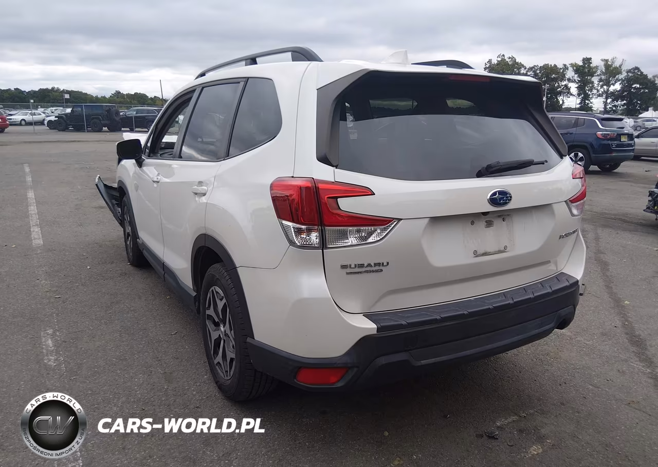 2019 Subaru Forester Premium VIN:JF2SKAEC4KH433824 - 3