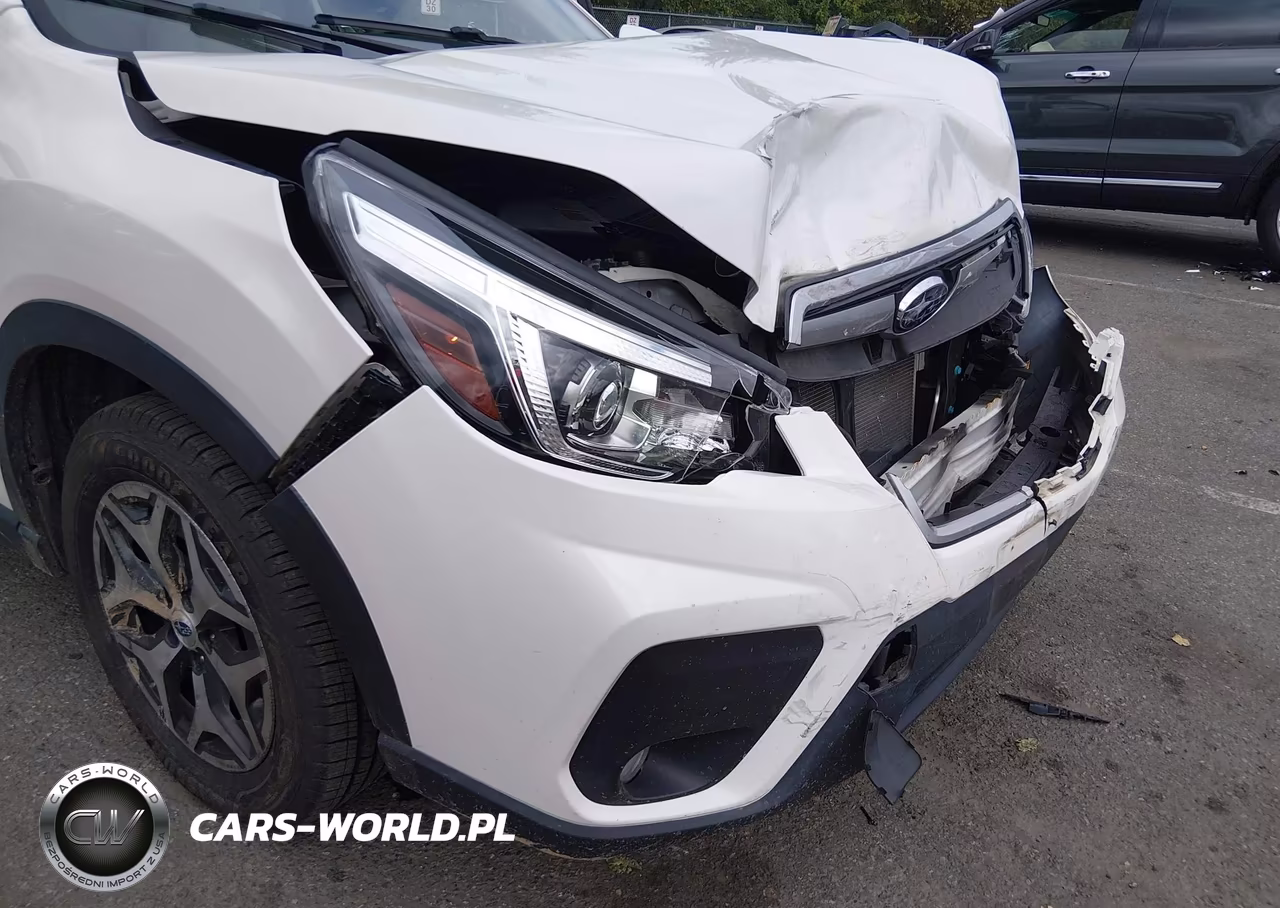 2019 Subaru Forester Premium VIN:JF2SKAEC4KH433824 - 6
