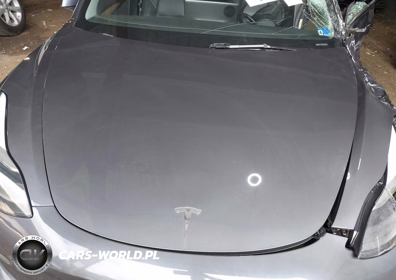 2023 Tesla Model 3 Rear-Wheel Drive VIN:5YJ3E1EA5PF512760 - 10