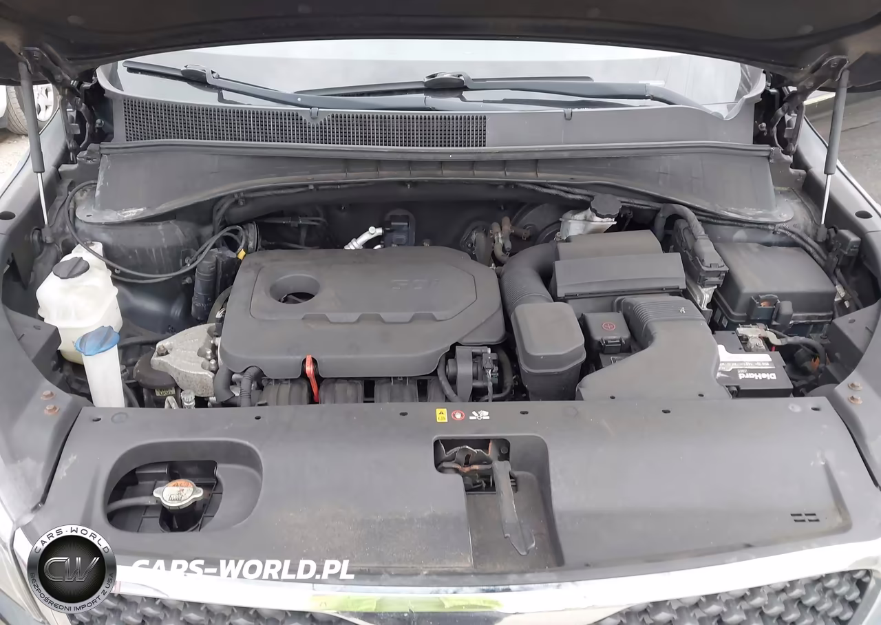 2016 Kia Sorento 2.4L Lx VIN:5XYPG4A34GG073905 - 10