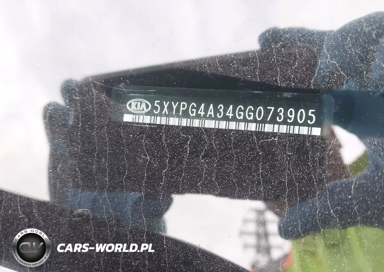 2016 Kia Sorento 2.4L Lx VIN:5XYPG4A34GG073905 - 12