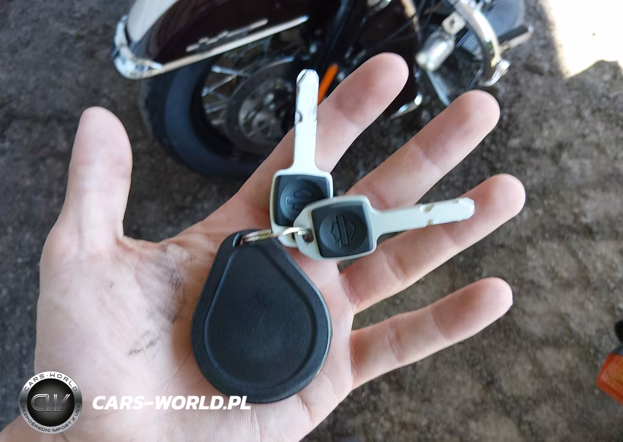 2021 Harley-Davidson Flhcs VIN:1HD1YBK14MB015737 - 11