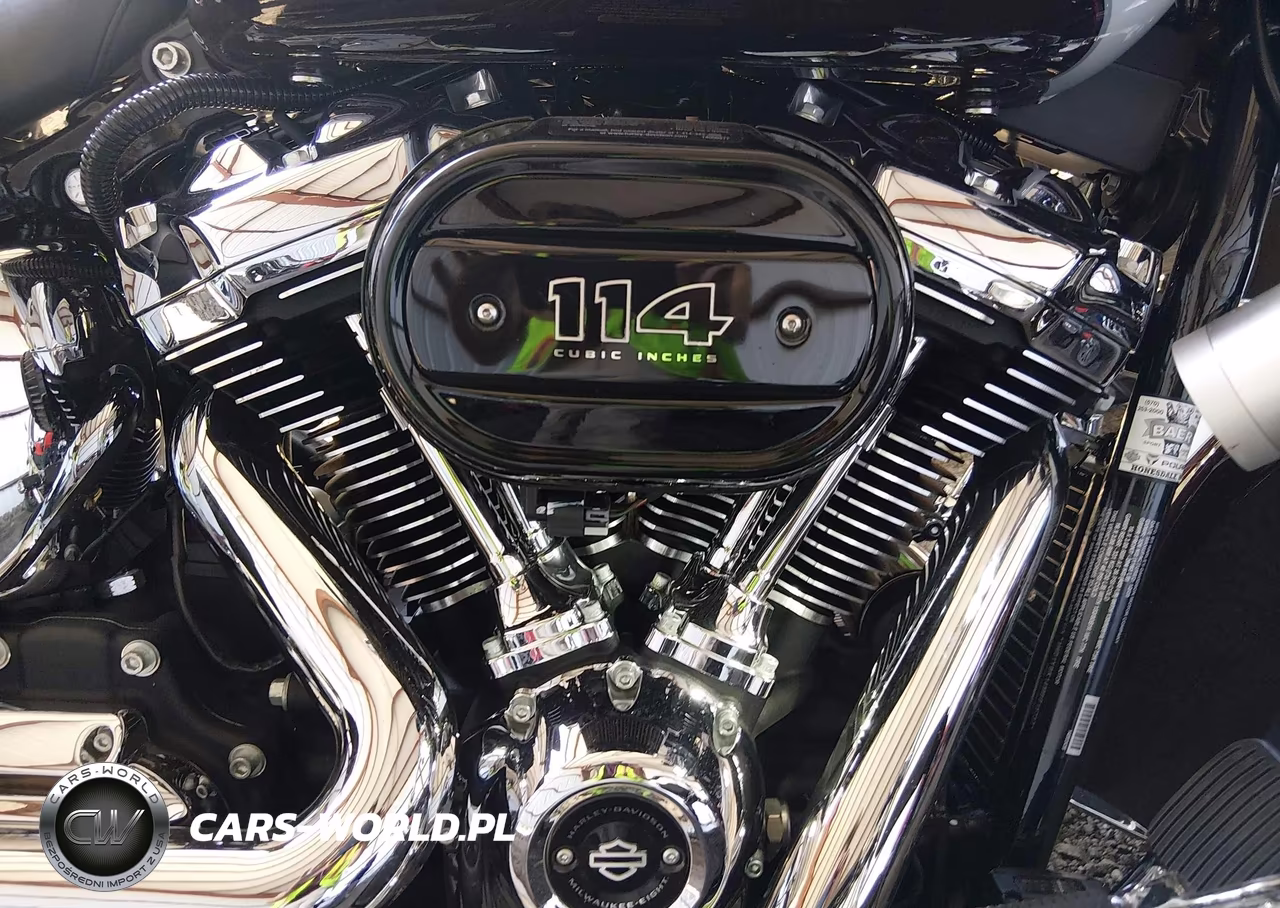 2021 Harley-Davidson Flhcs VIN:1HD1YBK14MB015737 - 8