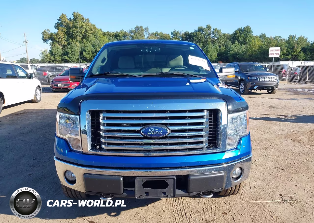 2010 Ford F-150 Fx4-Harley-Davidson-King Ranch-Lariat-Platinum-Xl-Xlt VIN:1FTFW1EV2AFB48300 - 12