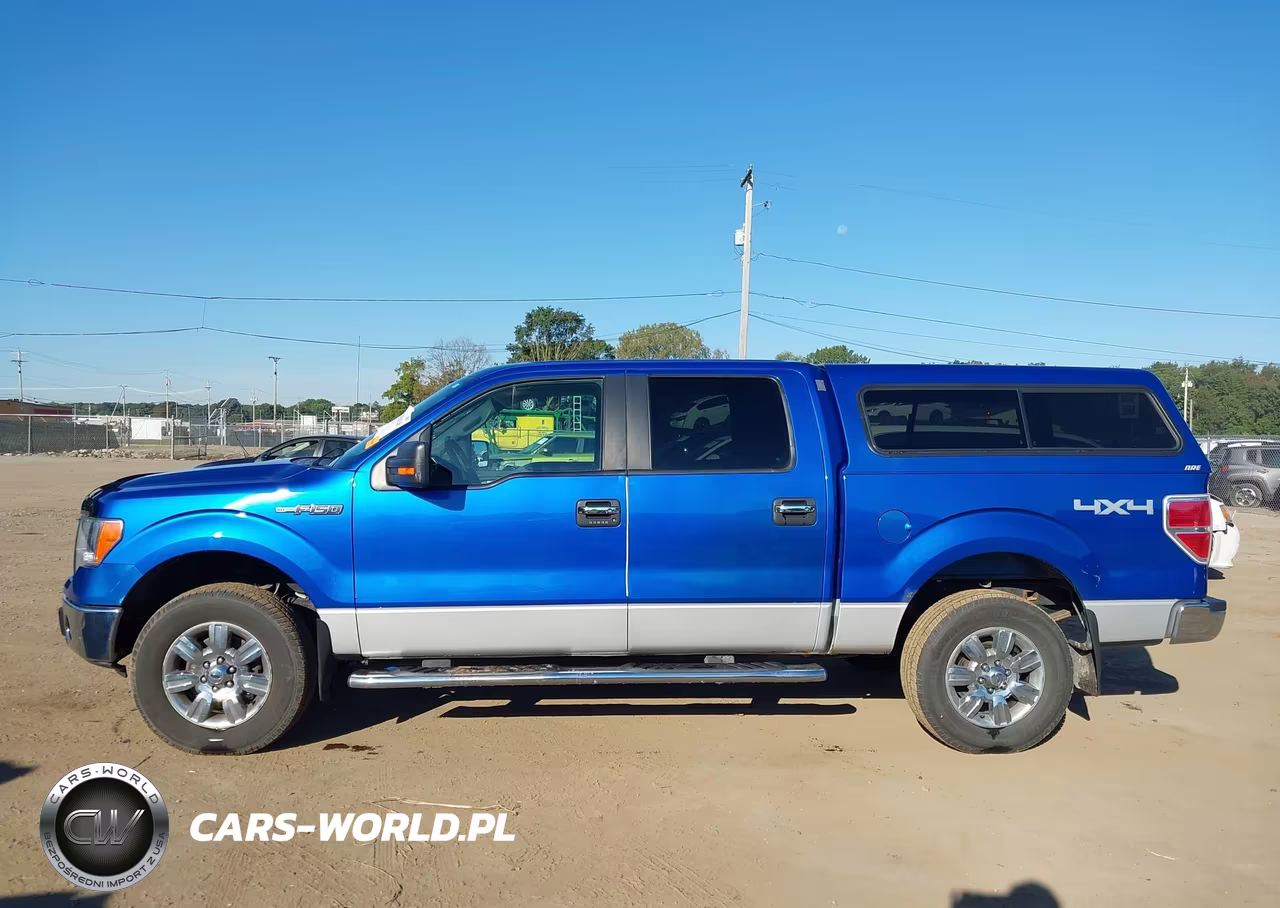 2010 Ford F-150 Fx4-Harley-Davidson-King Ranch-Lariat-Platinum-Xl-Xlt VIN:1FTFW1EV2AFB48300 - 14