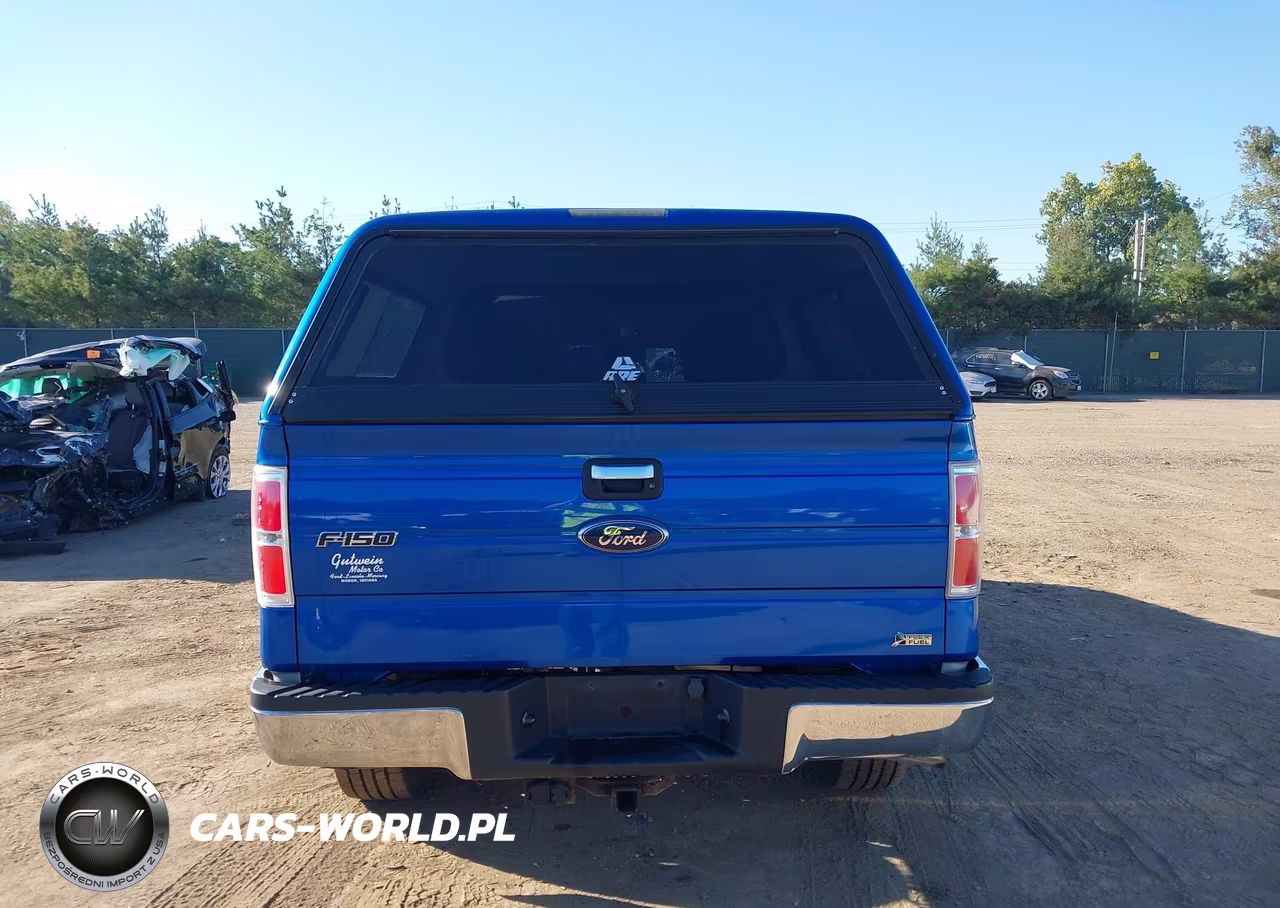 2010 Ford F-150 Fx4-Harley-Davidson-King Ranch-Lariat-Platinum-Xl-Xlt VIN:1FTFW1EV2AFB48300 - 16