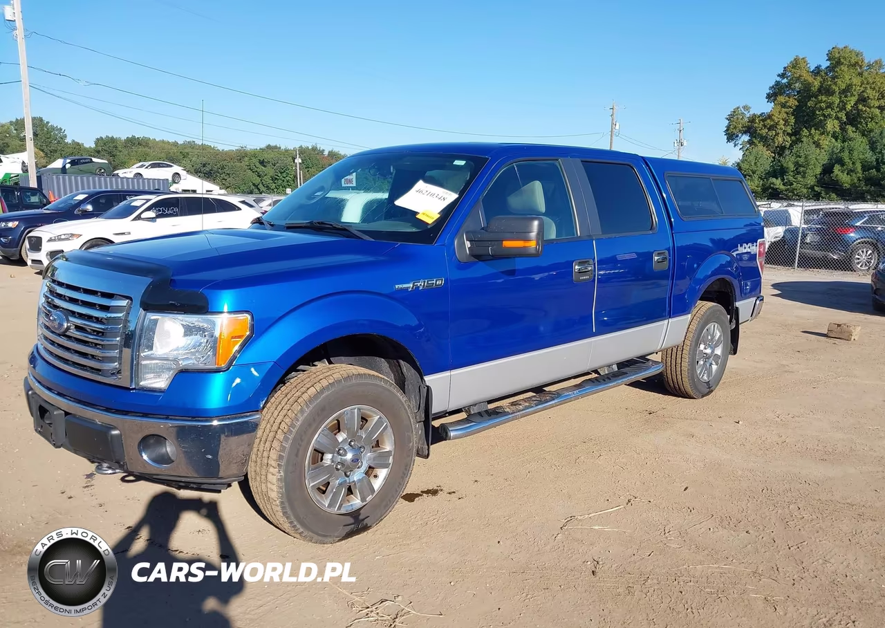 2010 Ford F-150 Fx4-Harley-Davidson-King Ranch-Lariat-Platinum-Xl-Xlt VIN:1FTFW1EV2AFB48300 - 2