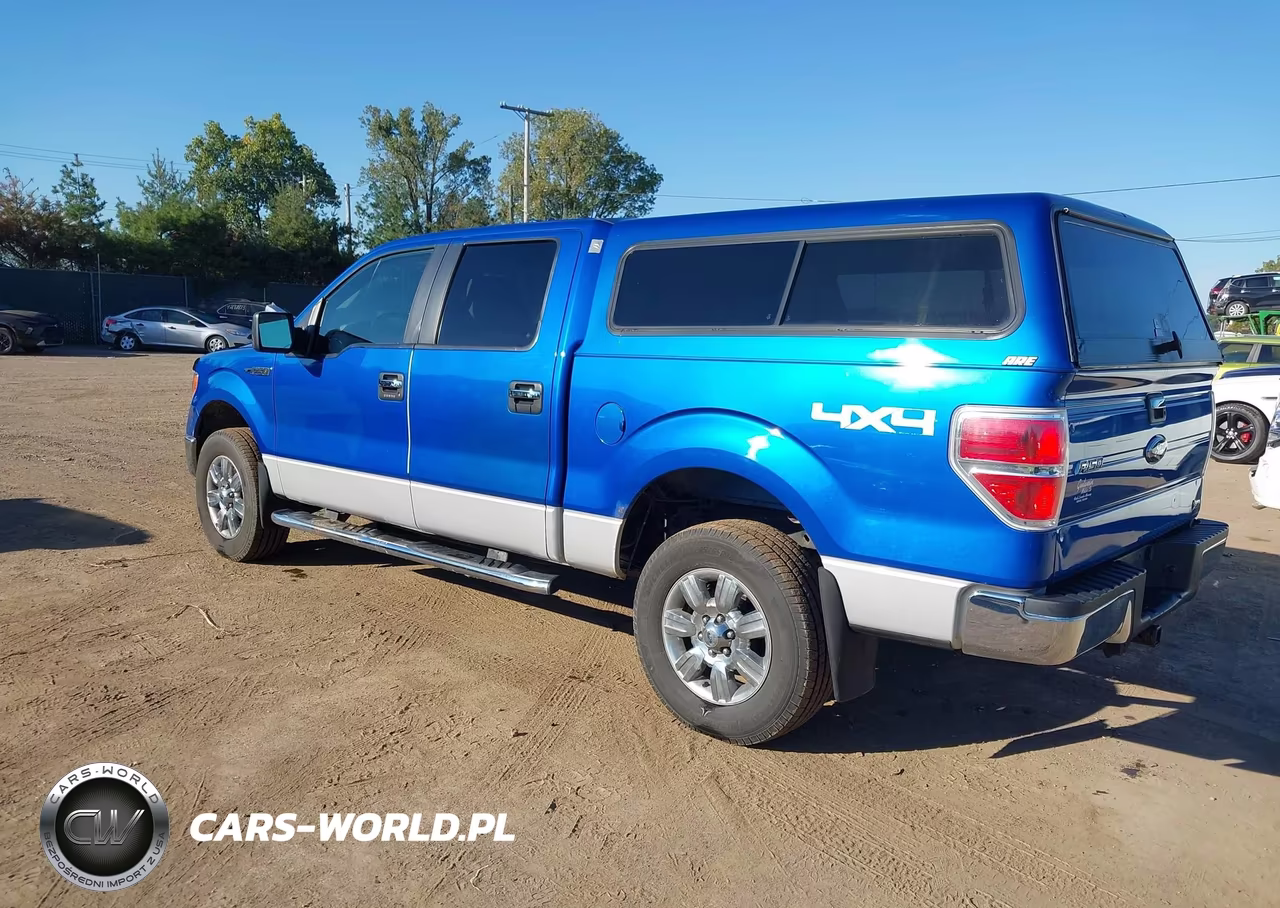 2010 Ford F-150 Fx4-Harley-Davidson-King Ranch-Lariat-Platinum-Xl-Xlt VIN:1FTFW1EV2AFB48300 - 3