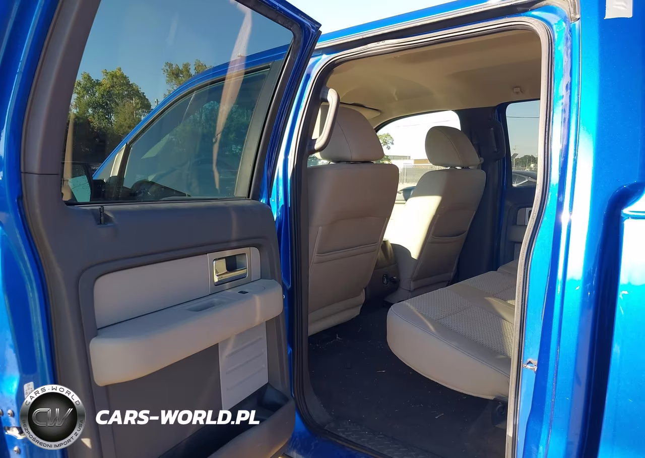 2010 Ford F-150 Fx4-Harley-Davidson-King Ranch-Lariat-Platinum-Xl-Xlt VIN:1FTFW1EV2AFB48300 - 8
