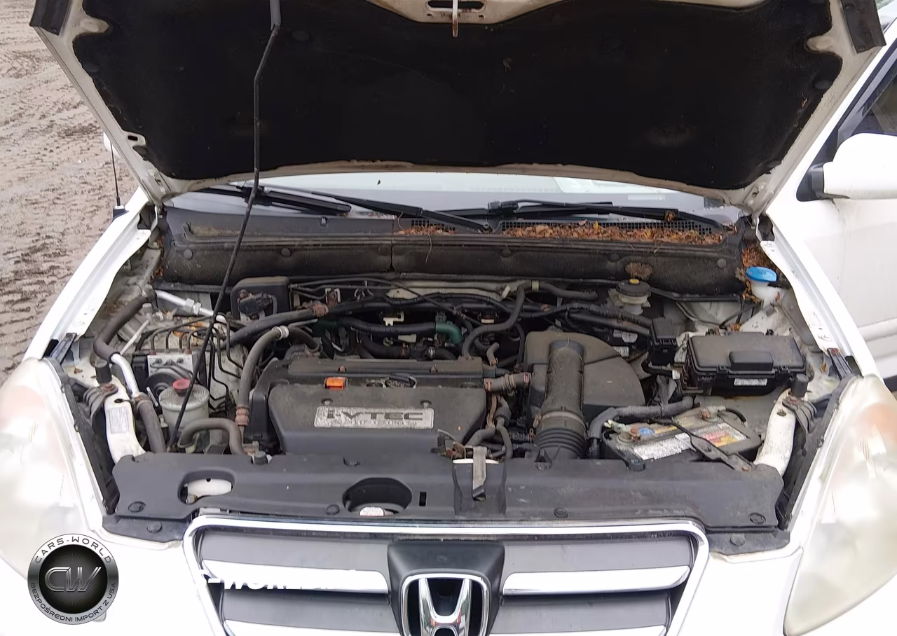 2006 Honda Cr-V Se VIN:SHSRD78996U441734 - 10