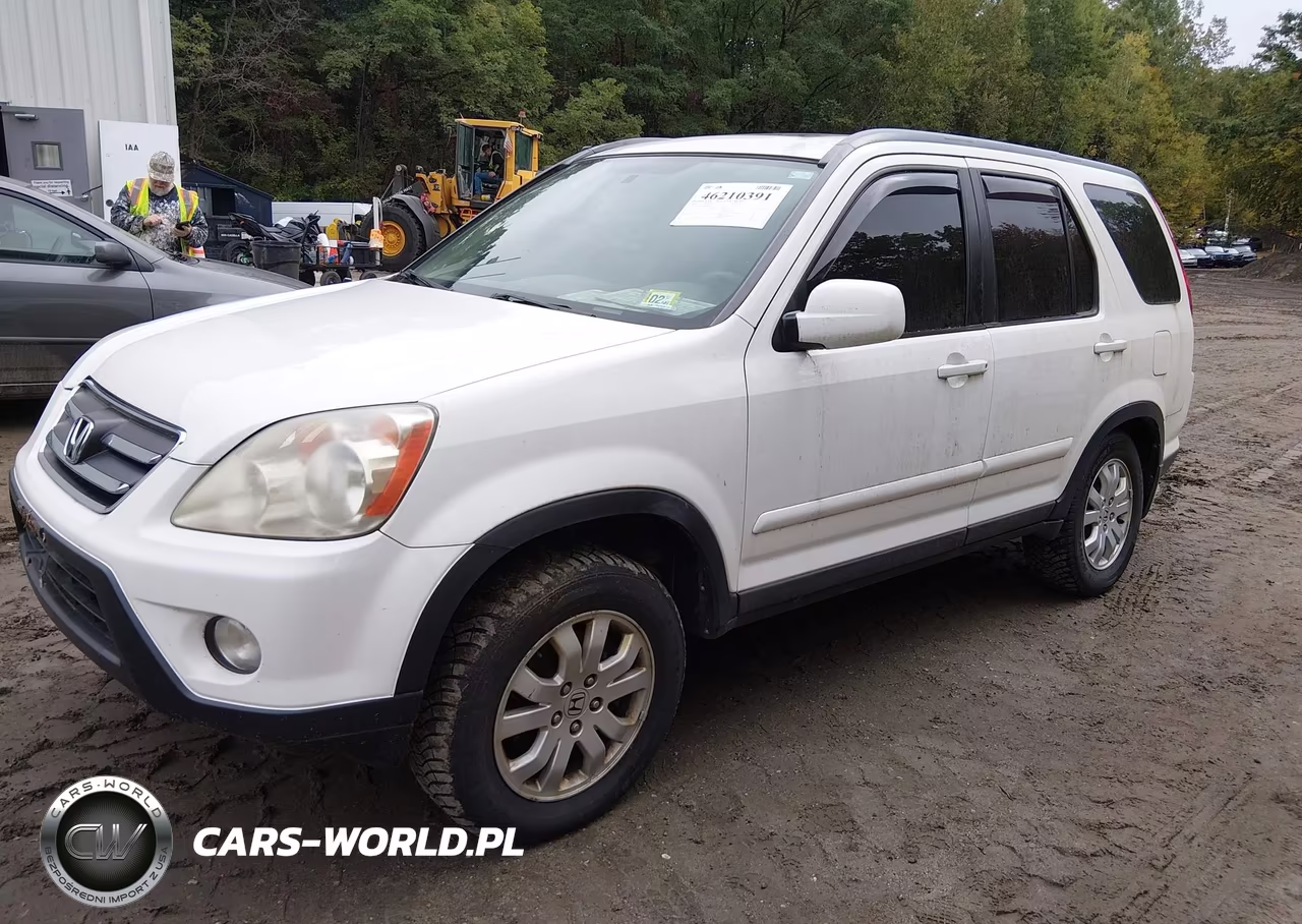 2006 Honda Cr-V Se VIN:SHSRD78996U441734 - 2