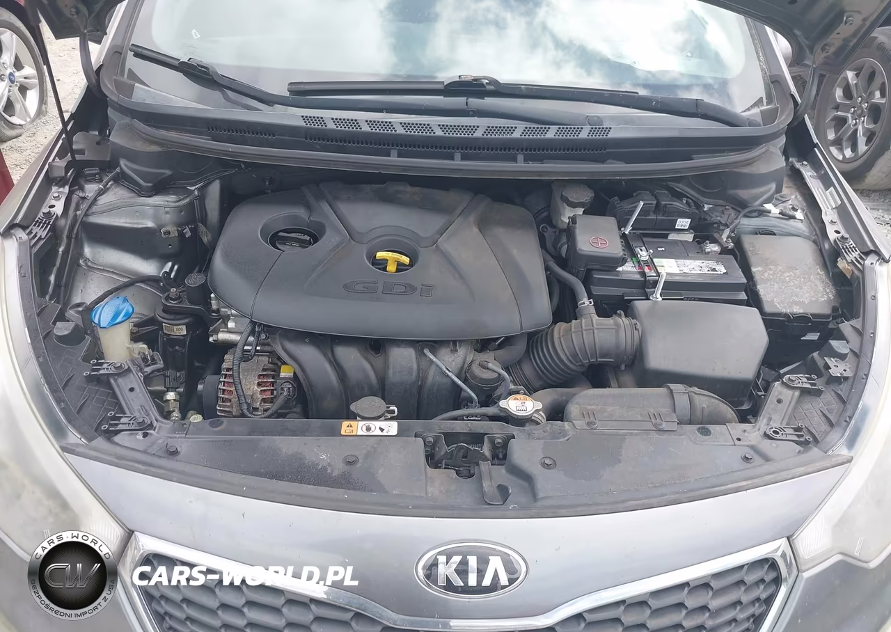 2016 Kia Forte Ex VIN:KNAFX4A80G5490855 - 10