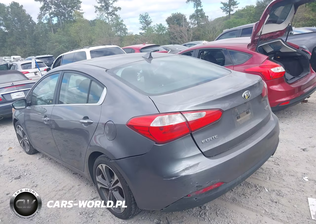 2016 Kia Forte Ex VIN:KNAFX4A80G5490855 - 3