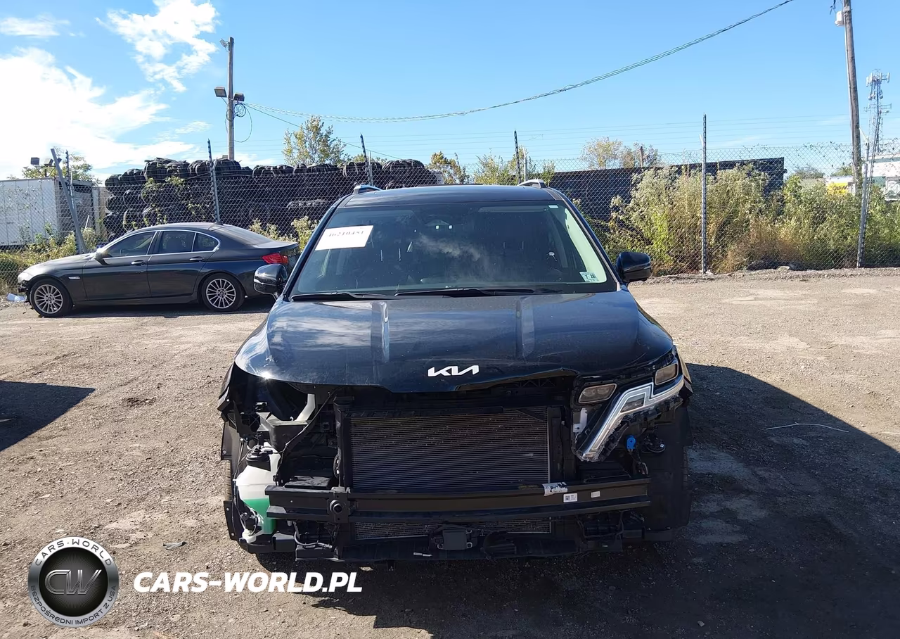 2024 Kia Carnival Mpv Sx Prestige VIN:KNDNE5H31R6328850 - 12