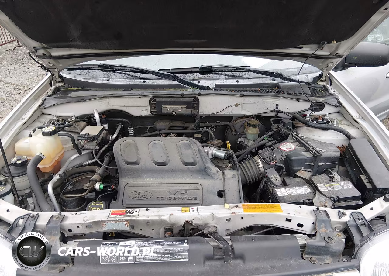 2003 Ford Escape Limited VIN:1FMCU94163KE04742 - 10