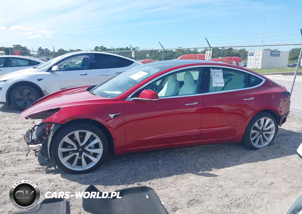 2019 Tesla Model 3 Long Range-Mid Range-Standard Range-Standard Range Plus VIN:5YJ3E1EA6KF432067 - 13