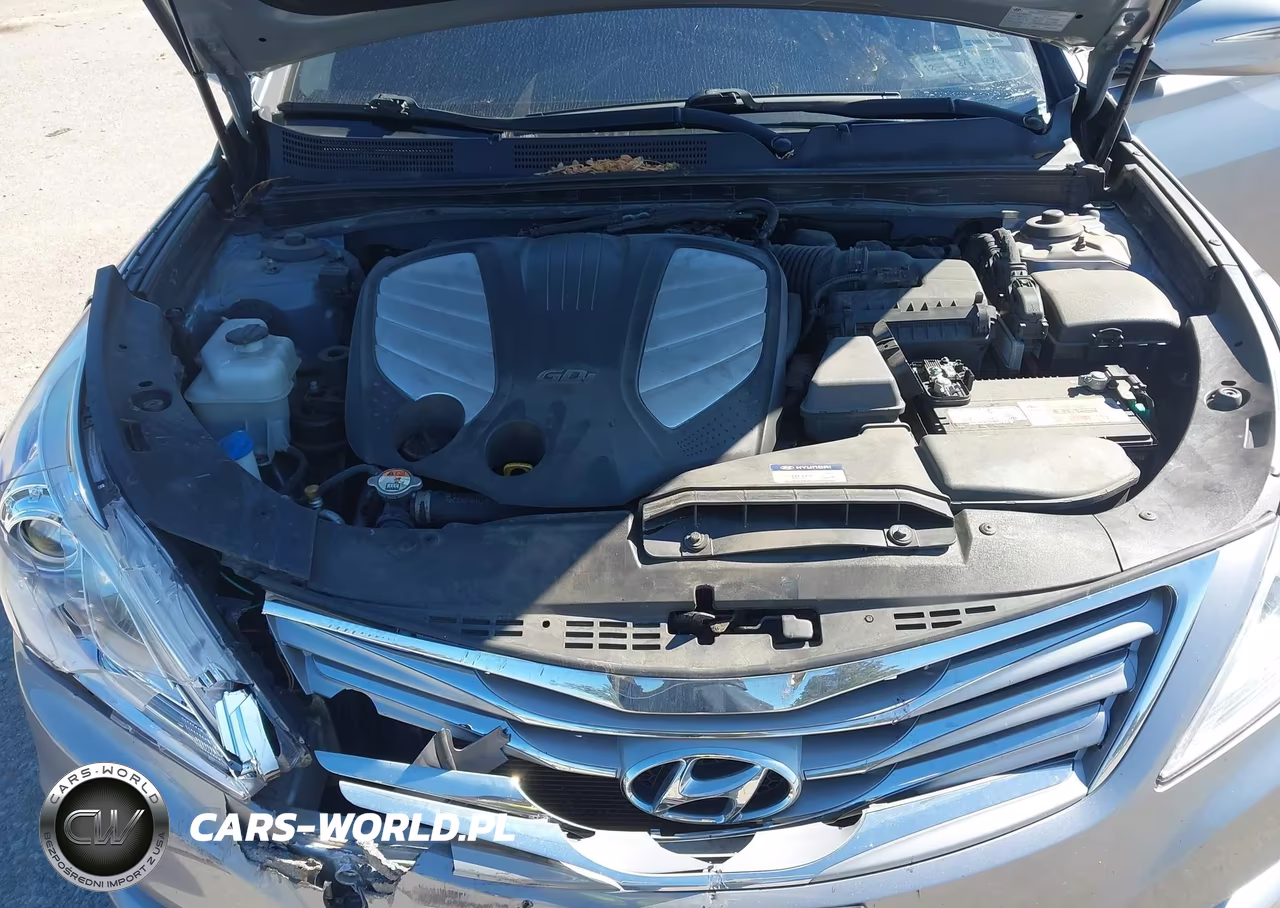 2014 Hyundai Azera VIN:KMHFG4JG1EA424163 - 10