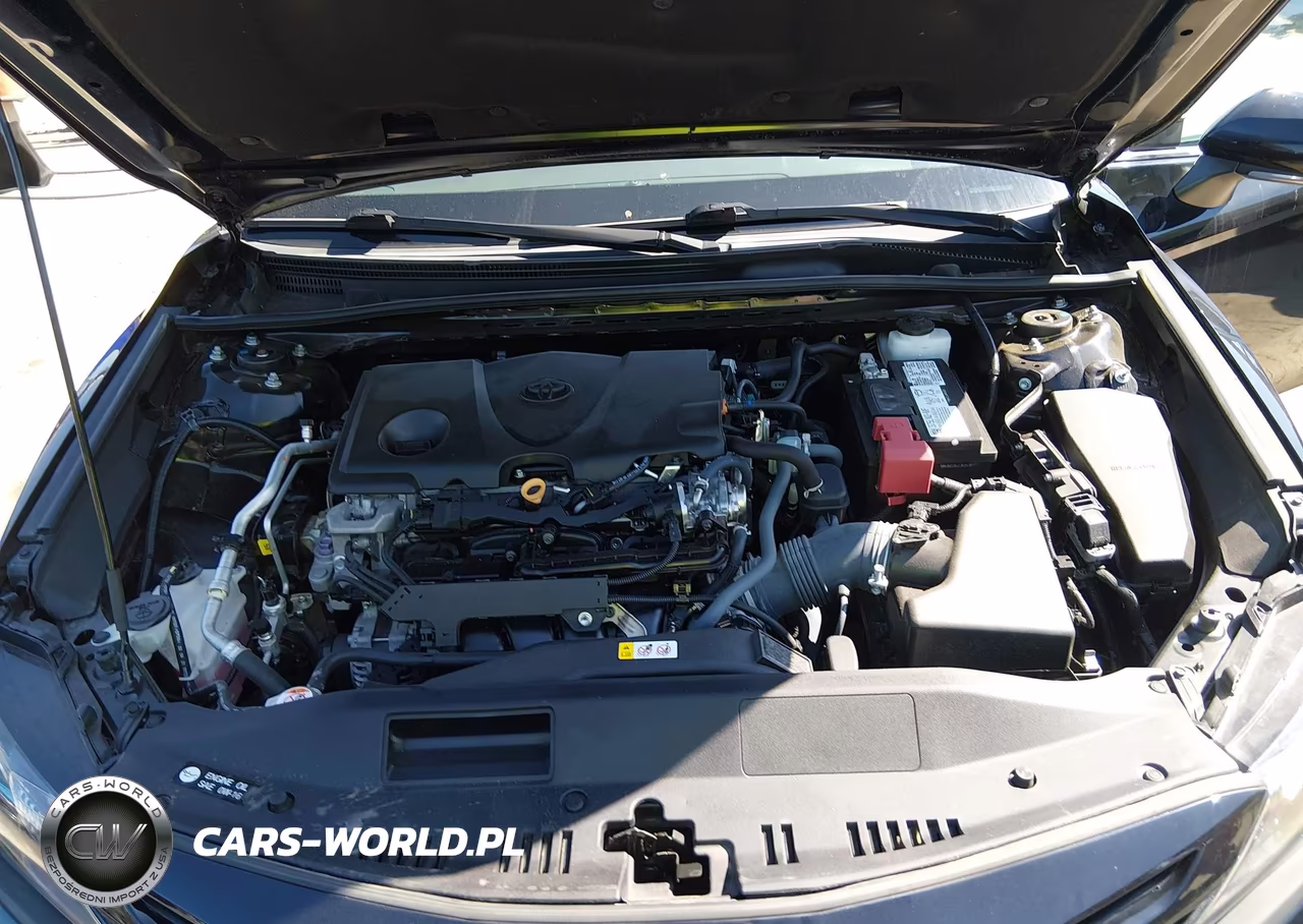 2022 Toyota Camry Se VIN:4T1S11AKXNU658481 - 10