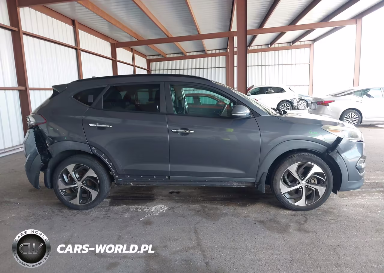 2017 Hyundai Tucson Limited VIN:KM8J33A20HU323333 - 13