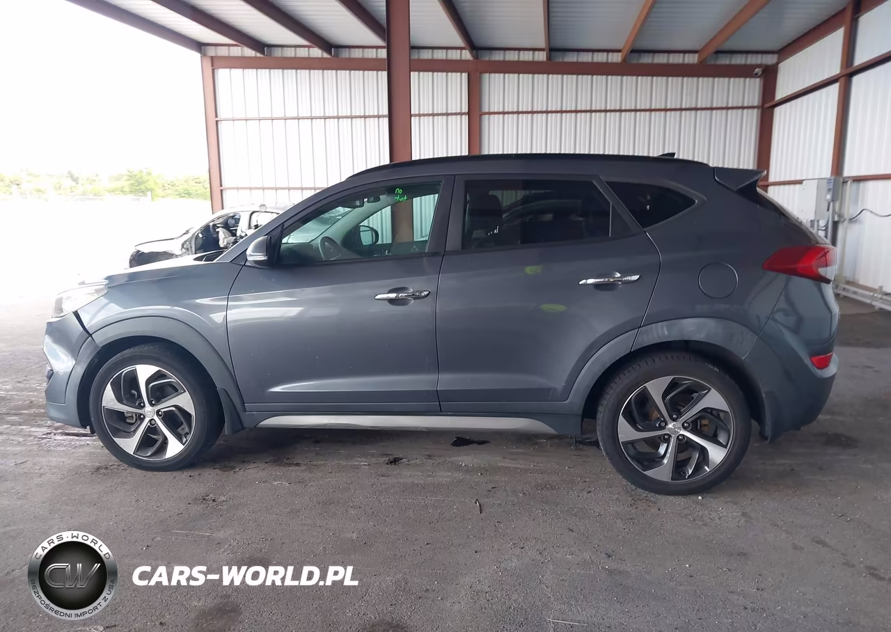 2017 Hyundai Tucson Limited VIN:KM8J33A20HU323333 - 14
