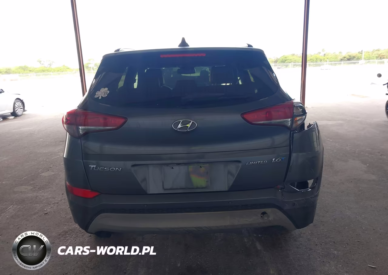 2017 Hyundai Tucson Limited VIN:KM8J33A20HU323333 - 16