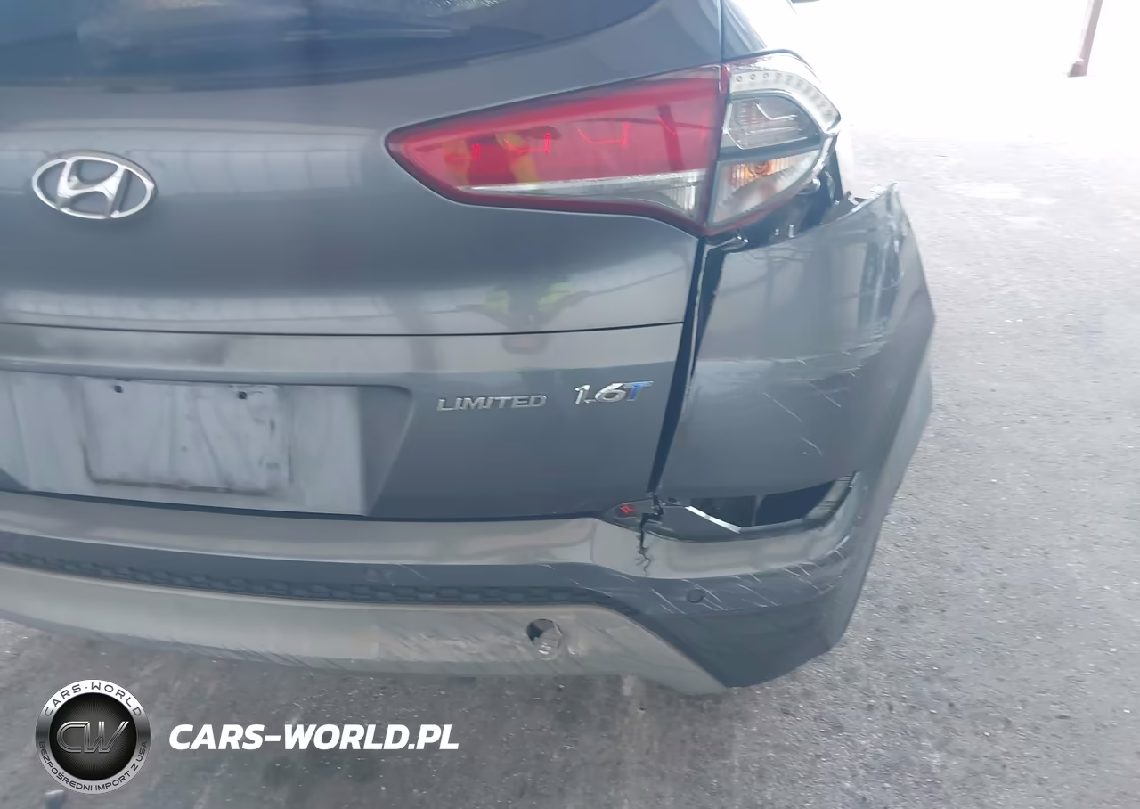 2017 Hyundai Tucson Limited VIN:KM8J33A20HU323333 - 17