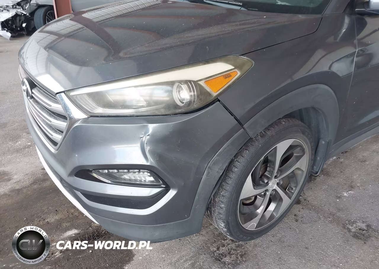 2017 Hyundai Tucson Limited VIN:KM8J33A20HU323333 - 18
