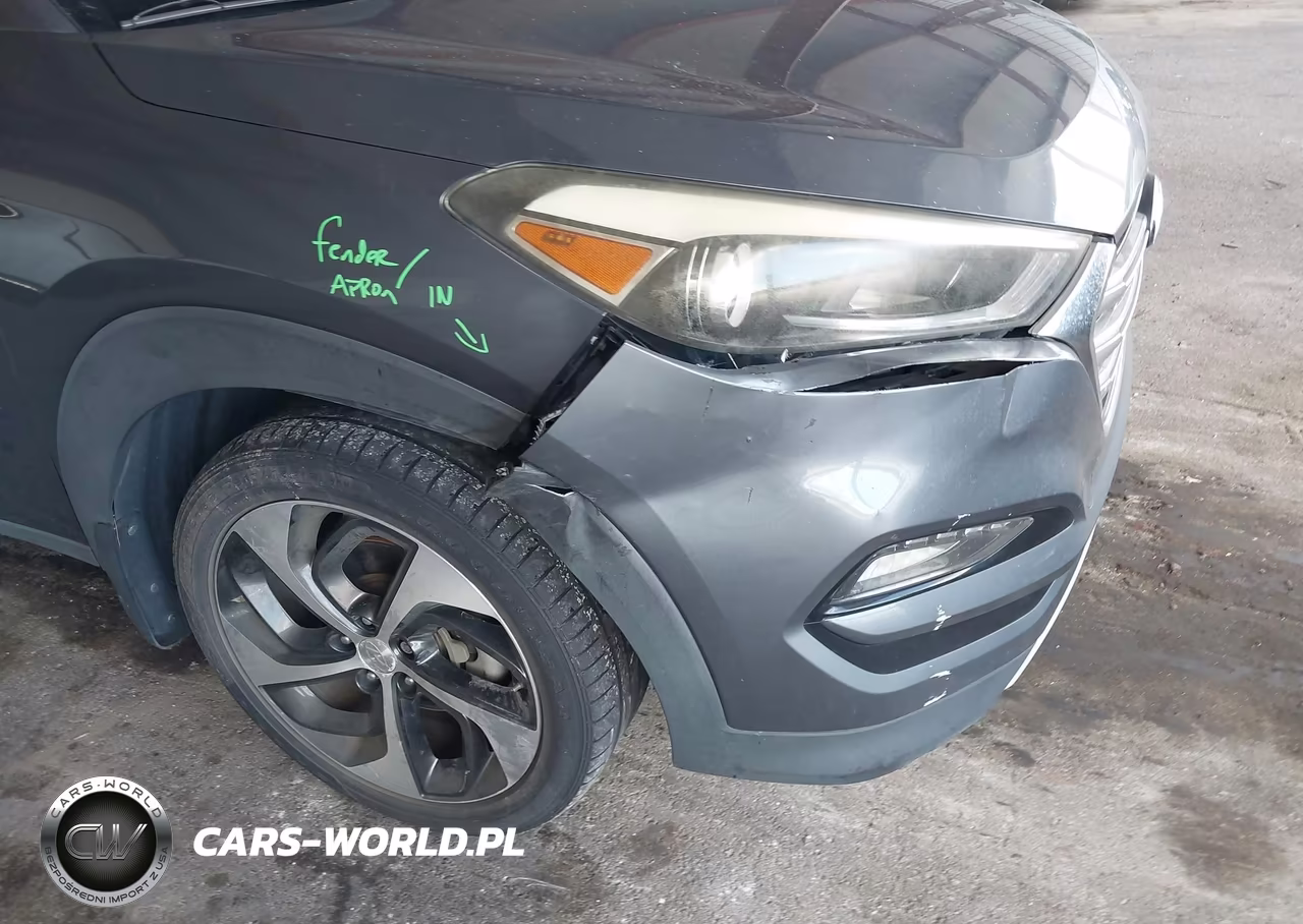 2017 Hyundai Tucson Limited VIN:KM8J33A20HU323333 - 19
