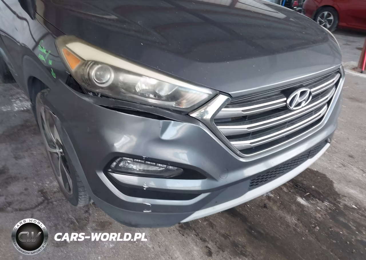 2017 Hyundai Tucson Limited VIN:KM8J33A20HU323333 - 20