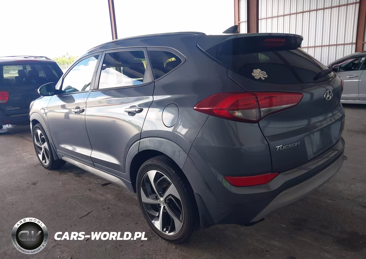 2017 Hyundai Tucson Limited VIN:KM8J33A20HU323333 - 3