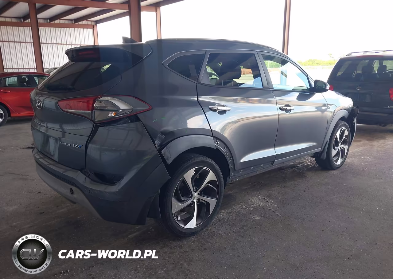 2017 Hyundai Tucson Limited VIN:KM8J33A20HU323333 - 4
