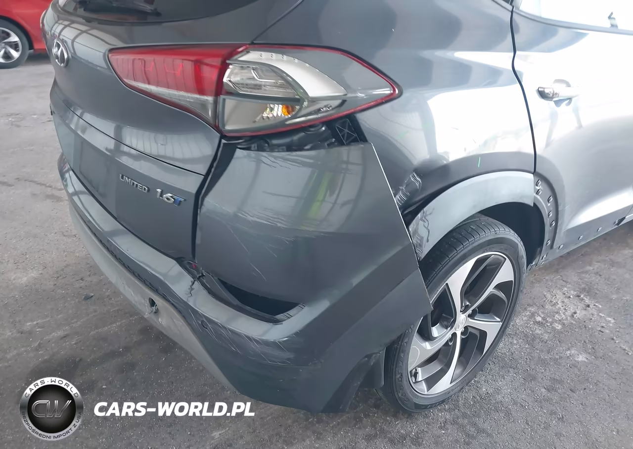 2017 Hyundai Tucson Limited VIN:KM8J33A20HU323333 - 6