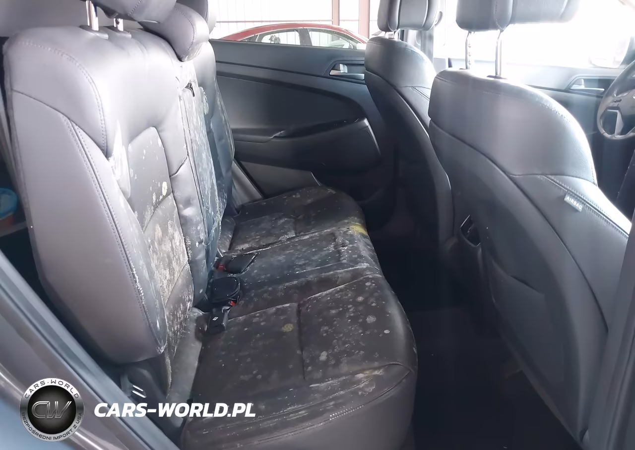 2017 Hyundai Tucson Limited VIN:KM8J33A20HU323333 - 8