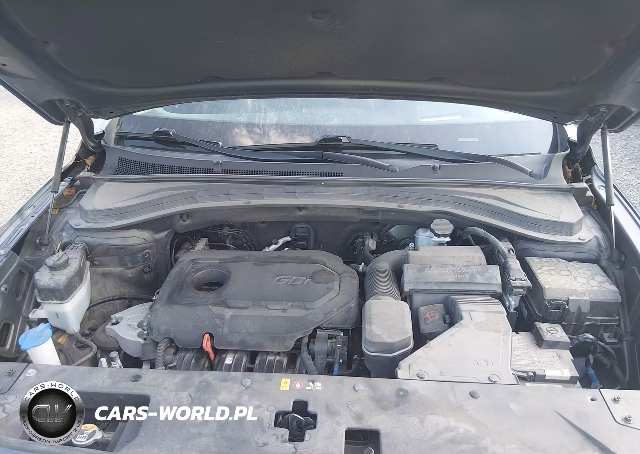 2020 Hyundai Santa Fe Limited VIN:5NMS53ADXLH278406 - 10