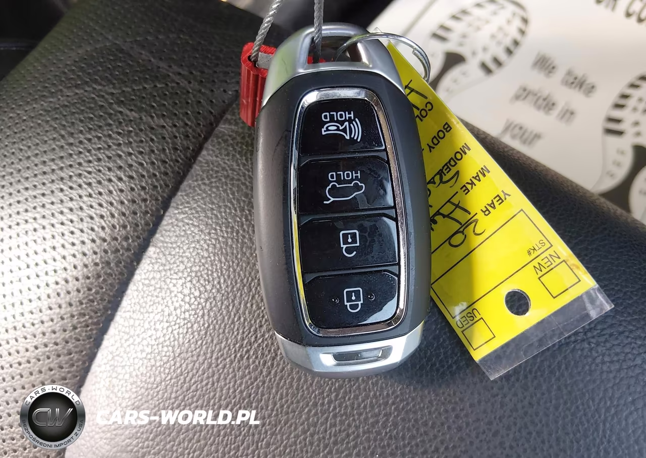 2020 Hyundai Santa Fe Limited VIN:5NMS53ADXLH278406 - 11