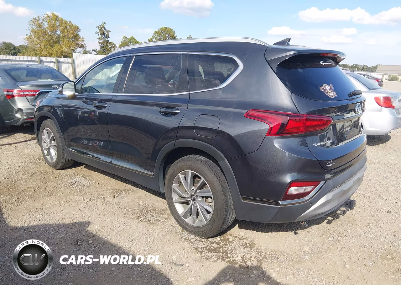 2020 Hyundai Santa Fe Limited VIN:5NMS53ADXLH278406 - 3