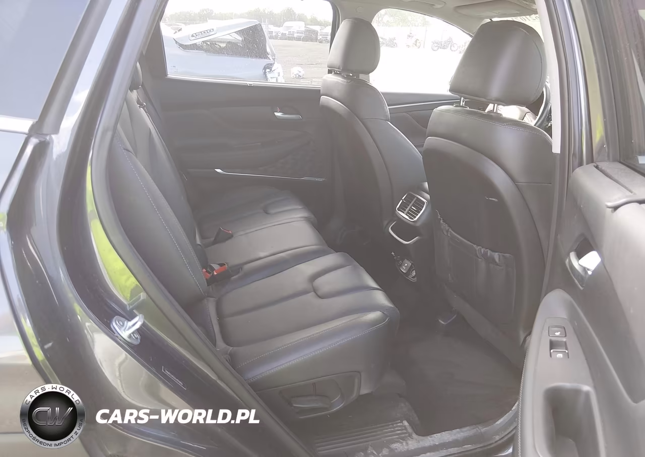 2020 Hyundai Santa Fe Limited VIN:5NMS53ADXLH278406 - 8