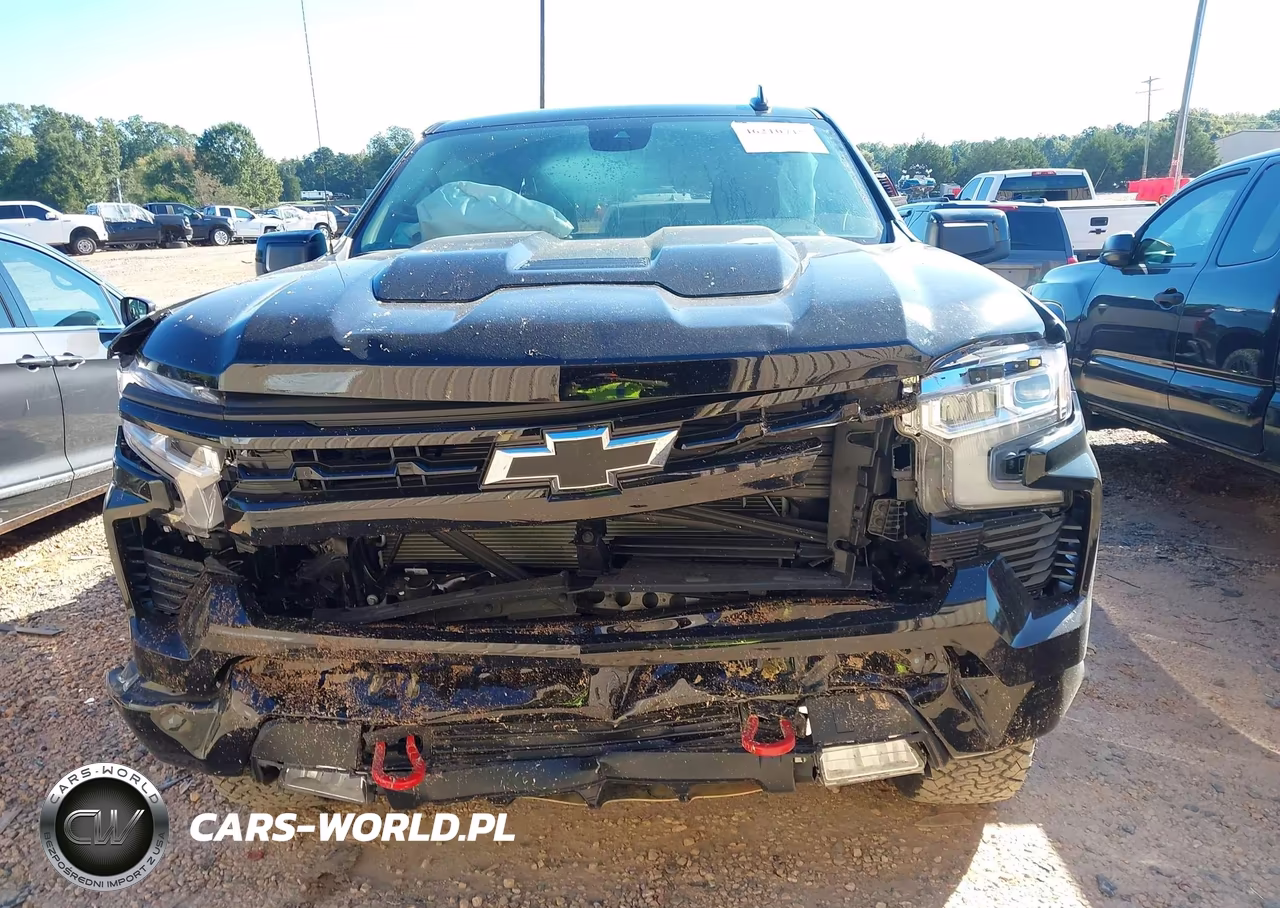2025 Chevrolet Silverado 1500 Lt Trail Boss VIN:3GCUKFED7SG335992 - 12