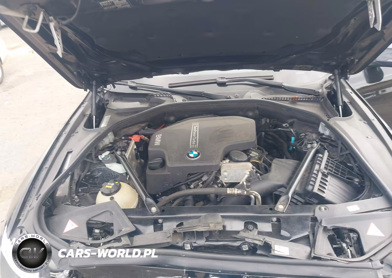 2015 BMW 528I VIN:WBA5A5C57FD518788 - 10